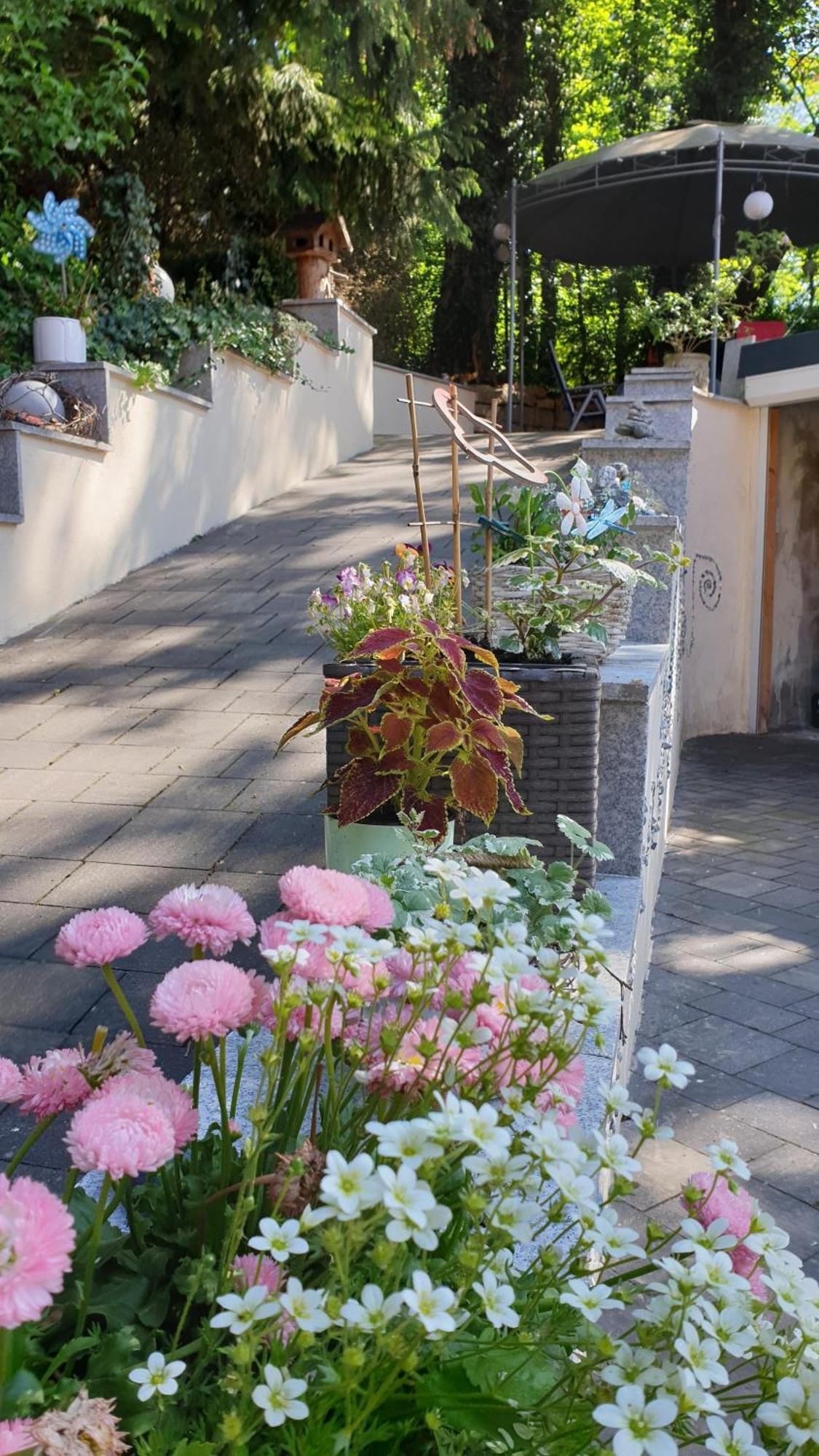 Ferienwohnung Sonnenschein Familie Hamdorf Bad Sulza Bagian luar foto